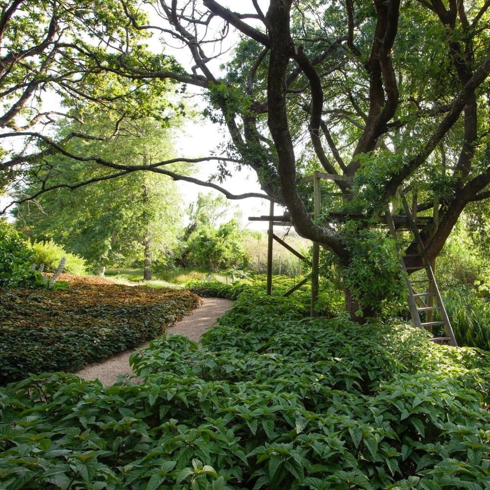 Sân vườn biệt thự phong cách Châu Âu với đài phun nước