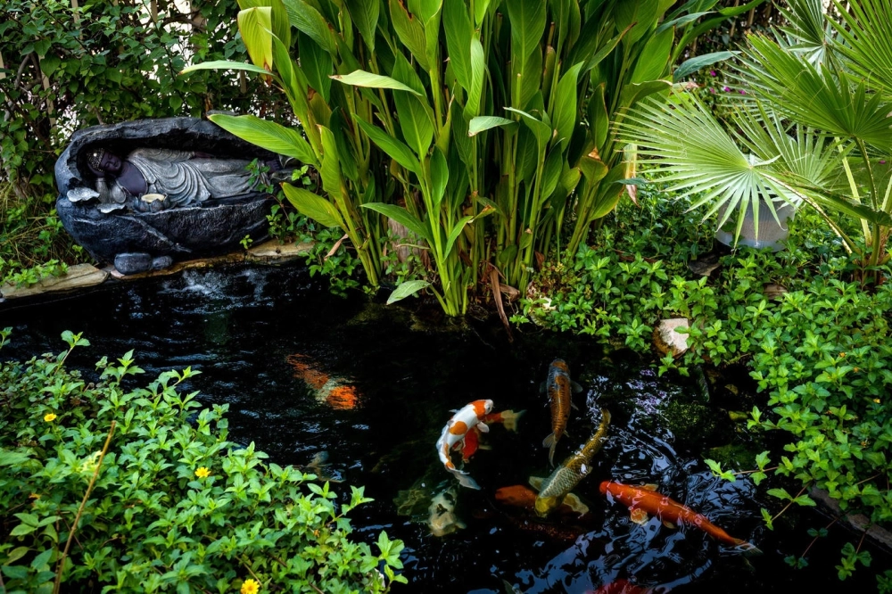 Thiết kế lối đi qua ao cá sân vườn bằng gỗ và đá tấm