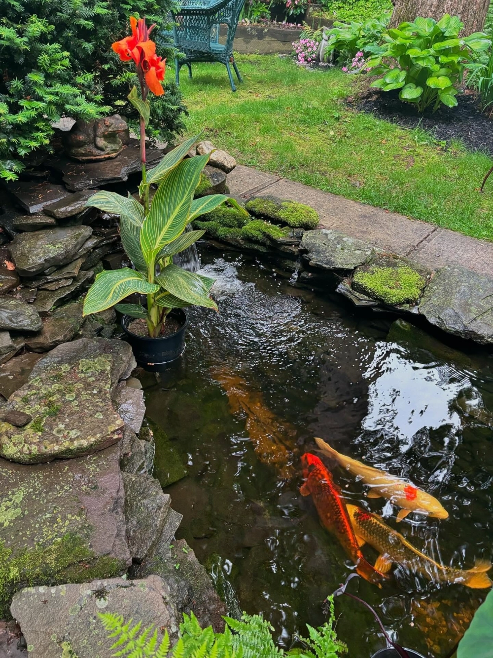 Kiến trúc sân vườn có ao cá phong cách Nhật Bản tối giản