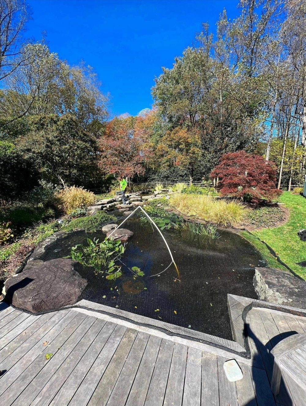 Hướng dẫn cách làm ao cá trong sân vườn đơn giản và bền đẹp