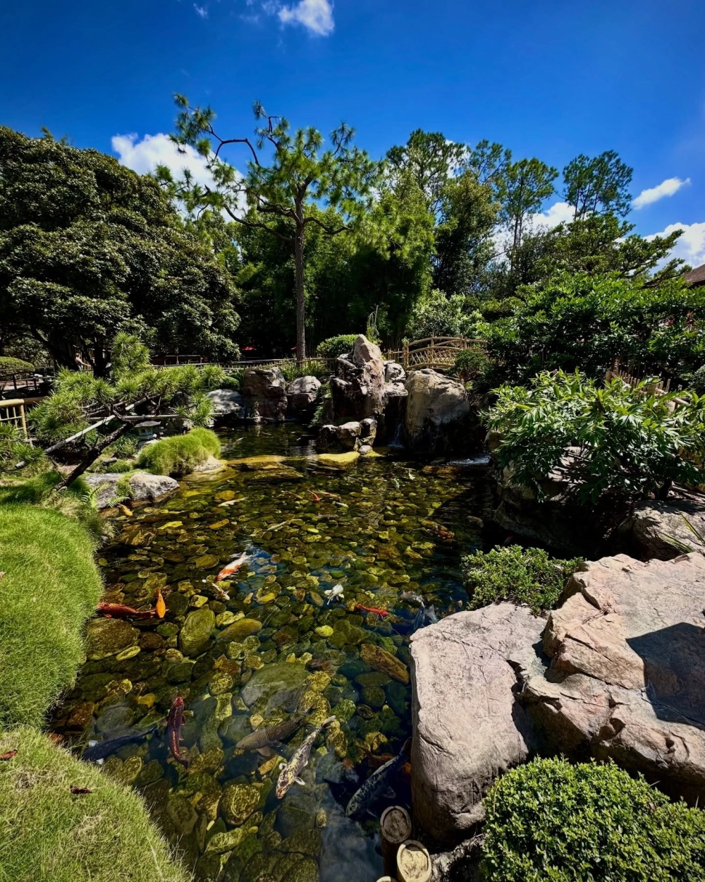 Sân vườn có ao cá kết hợp hòn non bộ hùng vĩ