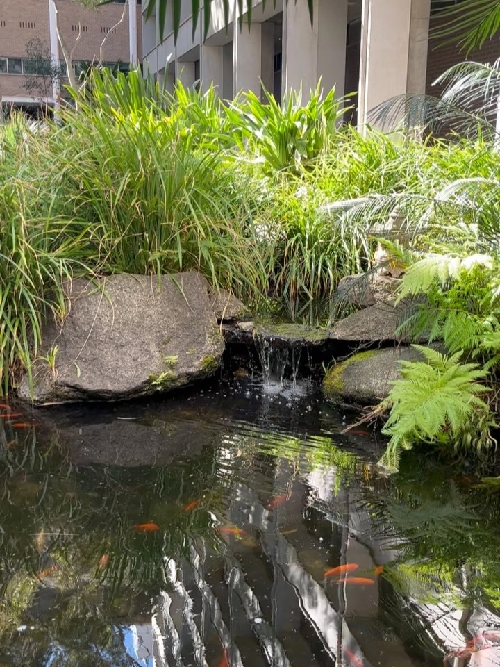 Cách bố trí phong thủy sân vườn có ao cá đón tài lộc