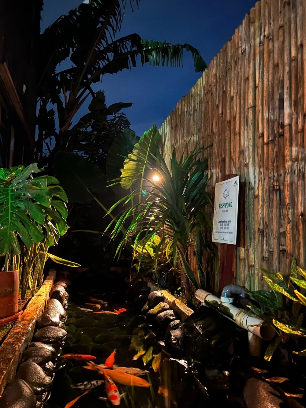 Thiết kế sân vườn có hồ cá koi hiện đại cho biệt thự