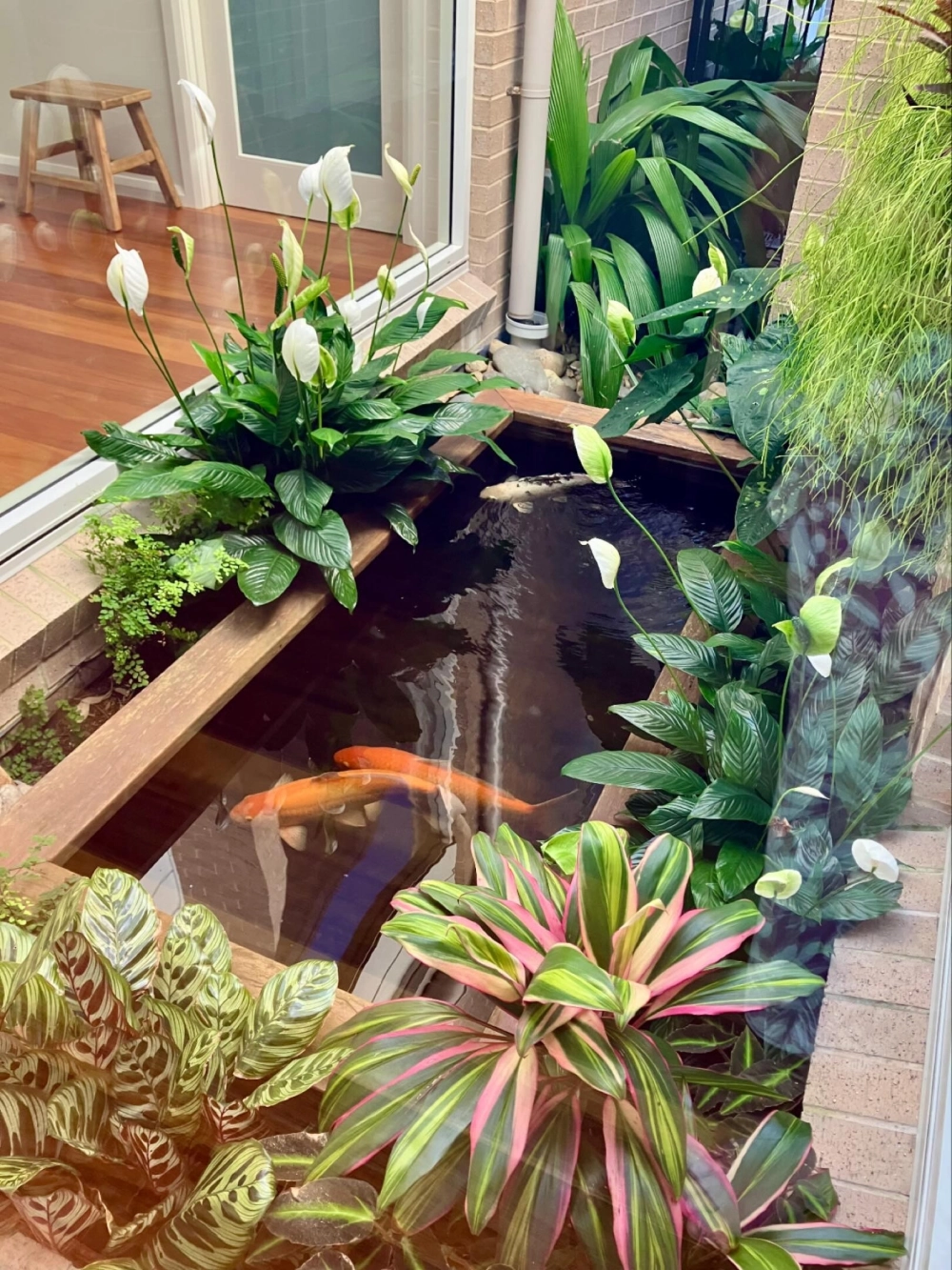 Sân vườn có suối chảy róc rách nối liền với ao cá nhỏ