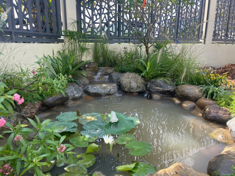 Báo giá thiết kế sân vườn trọn gói cạnh tranh nhất