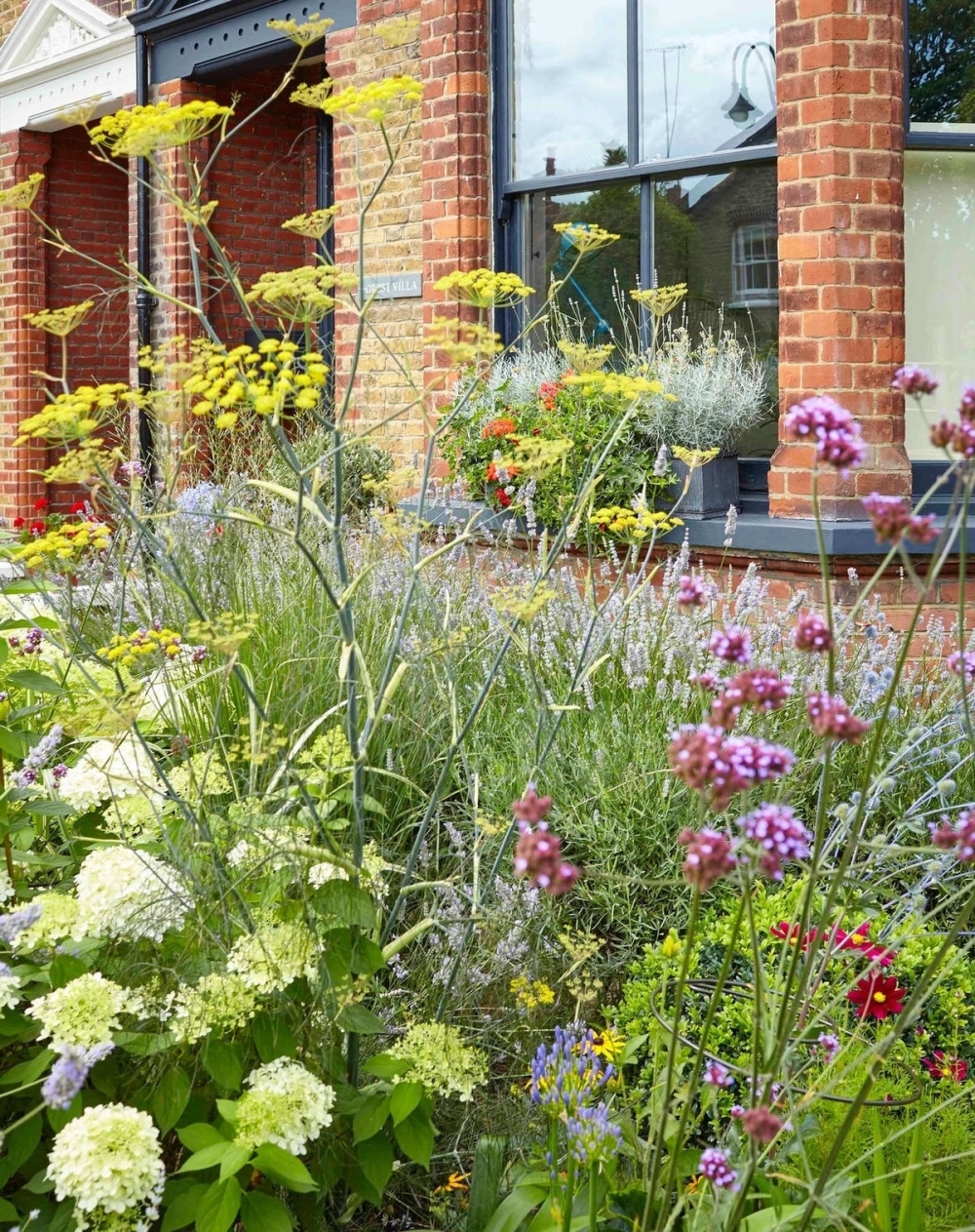 Cây cảnh trồng vườn mini trước nhà dễ chăm sóc