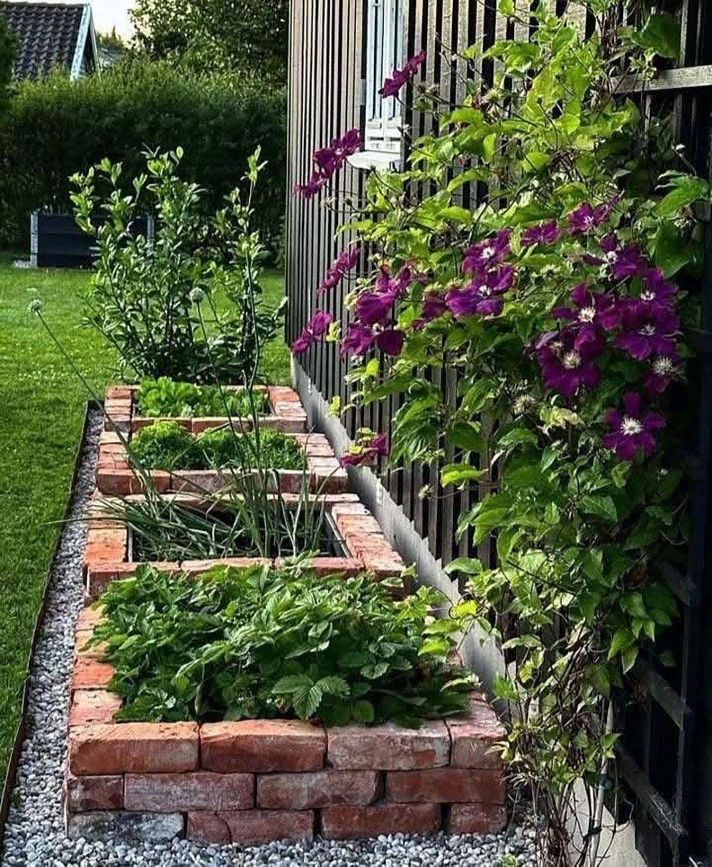 Thảm cỏ sân vườn mini mướt mắt trước hiên nhà