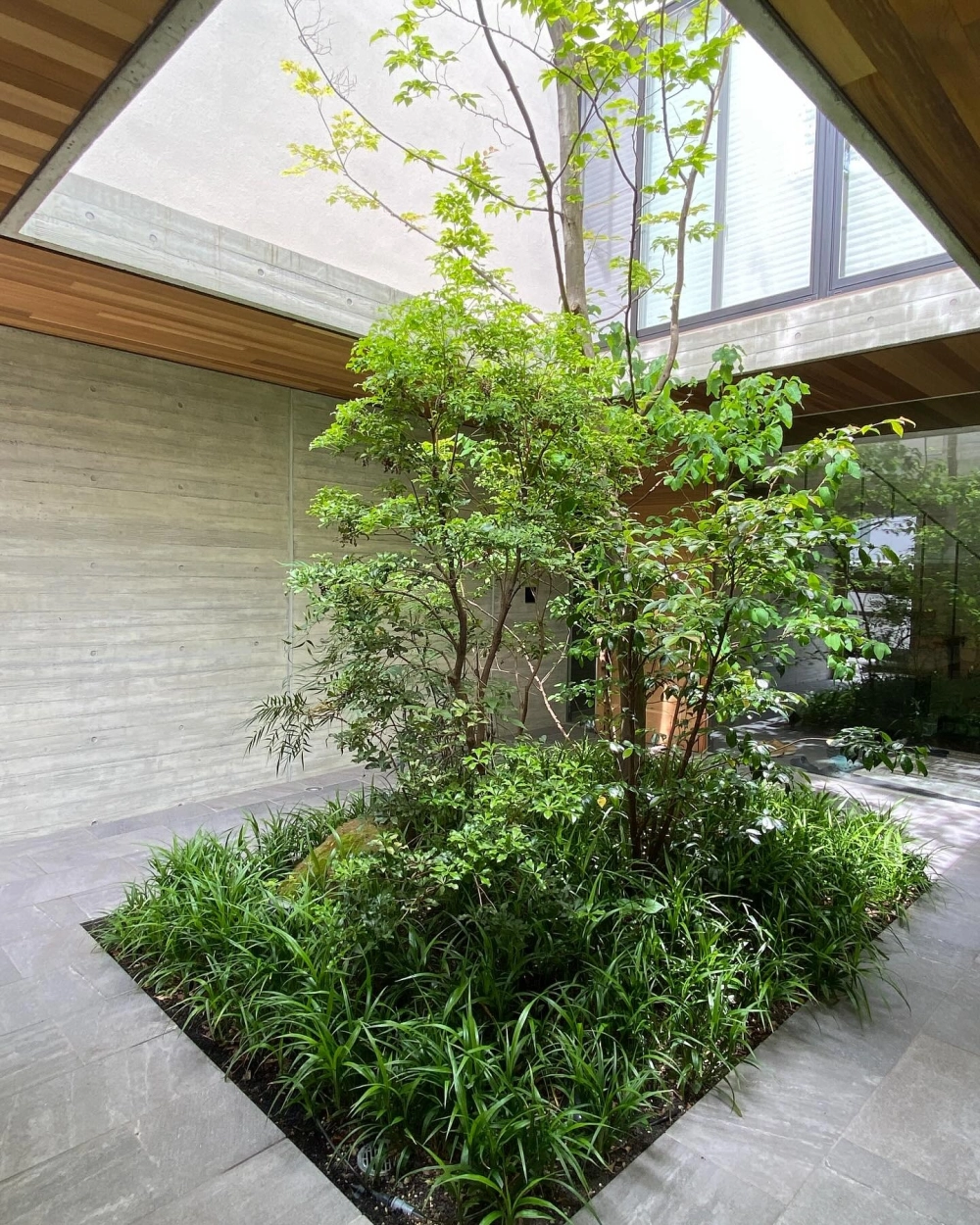 Trang trí sân vườn mini trước nhà cấp 4 đơn giản