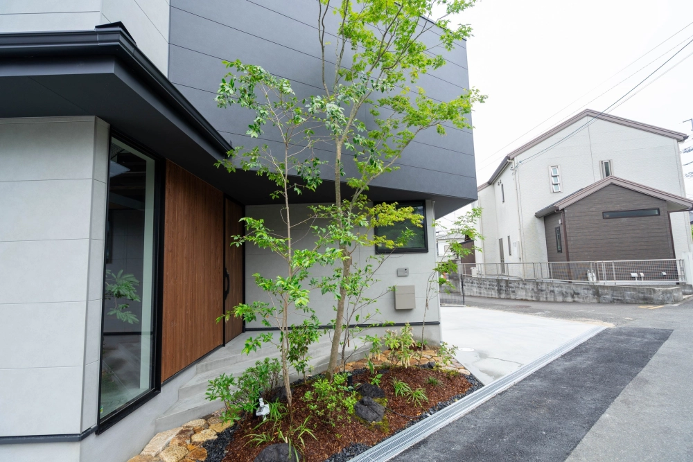 Chậu cây trang trí vườn mini nhiều kiểu dáng lạ mắt