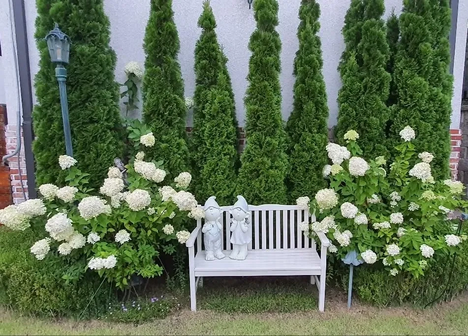 Sân vườn nhà phố không gian xanh tràn đầy năng lượng