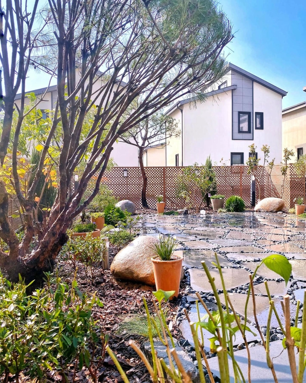 Sân vườn nhà phố kết hợp hồ cá koi sinh động