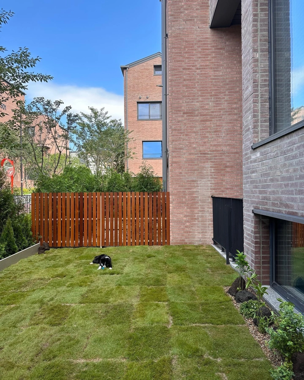 Đèn trang trí lối đi sân vườn nhà phố ban đêm