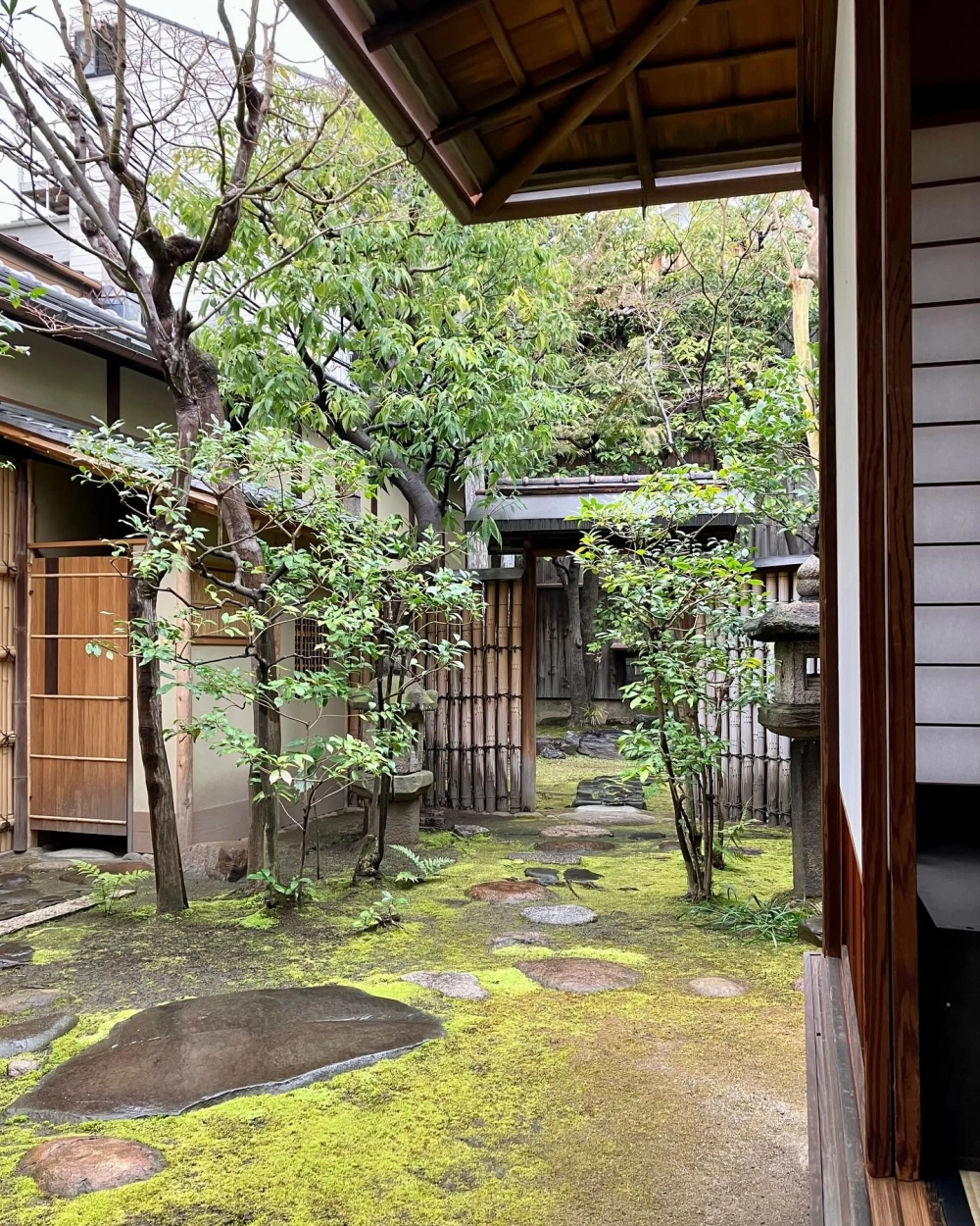 Sân vườn giữa nhà phố kết hợp giếng trời thoáng đãng