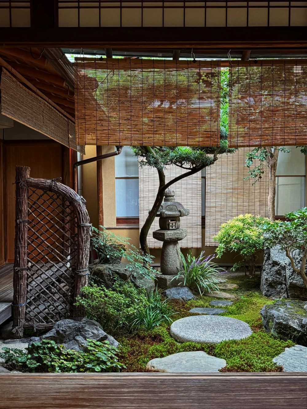 Tiểu cảnh lu nước trong sân vườn nhà phố