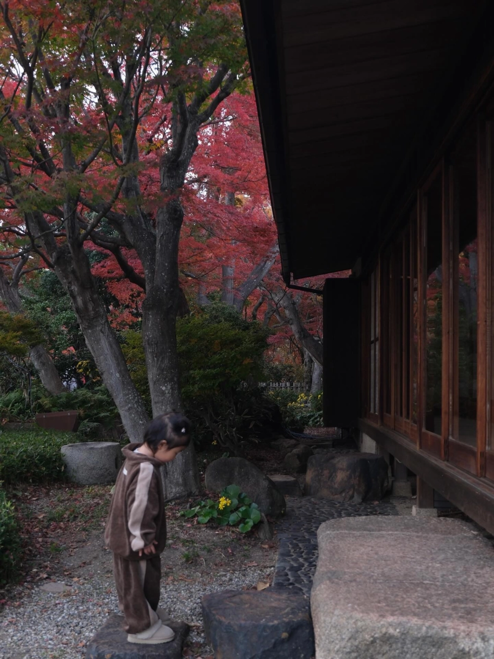 Cổng sân vườn nhật bản đẹp bằng gỗ tự nhiên