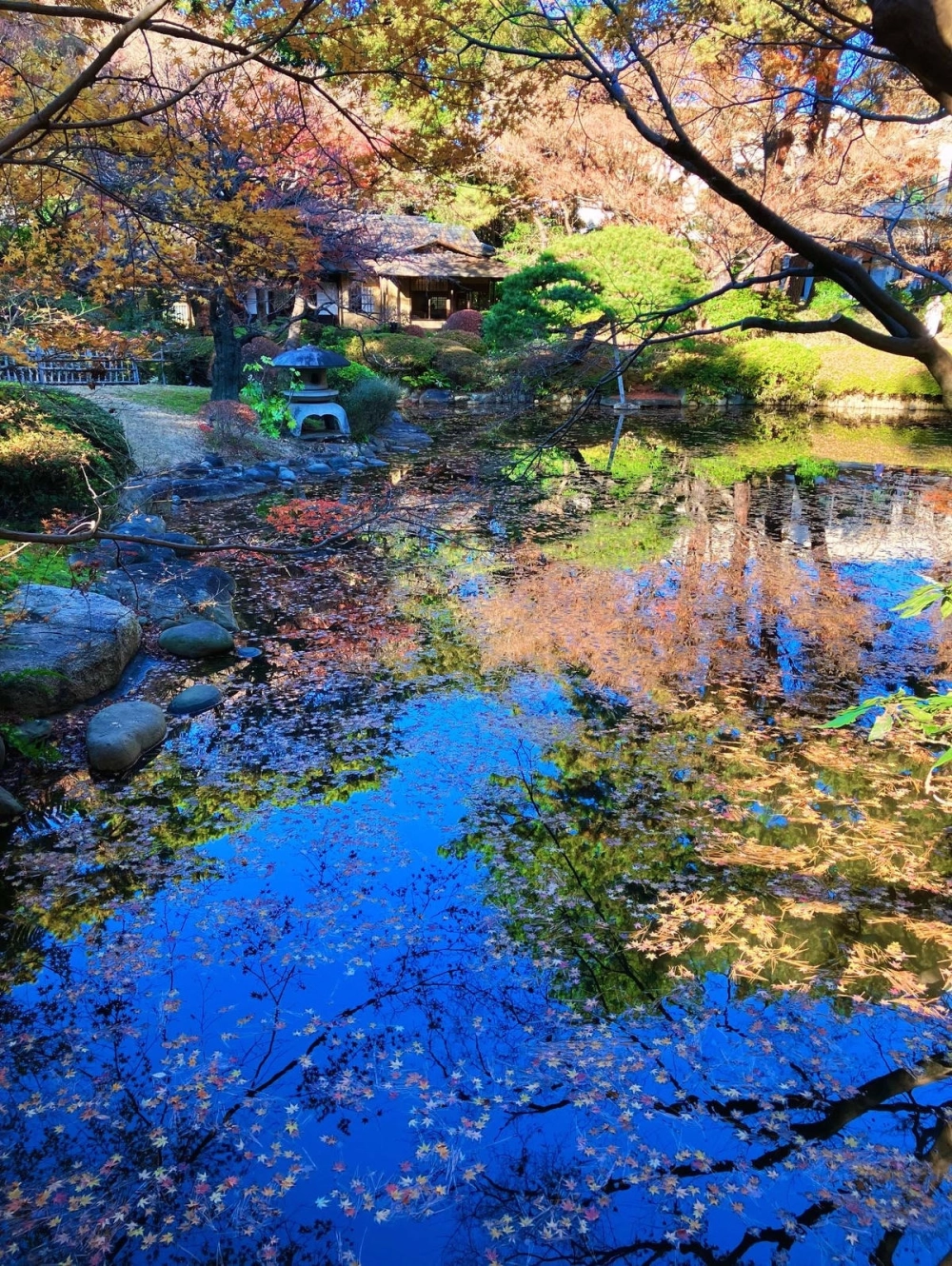 Hồ cá koi sân vườn nhật bản kết hợp thác nước nhỏ