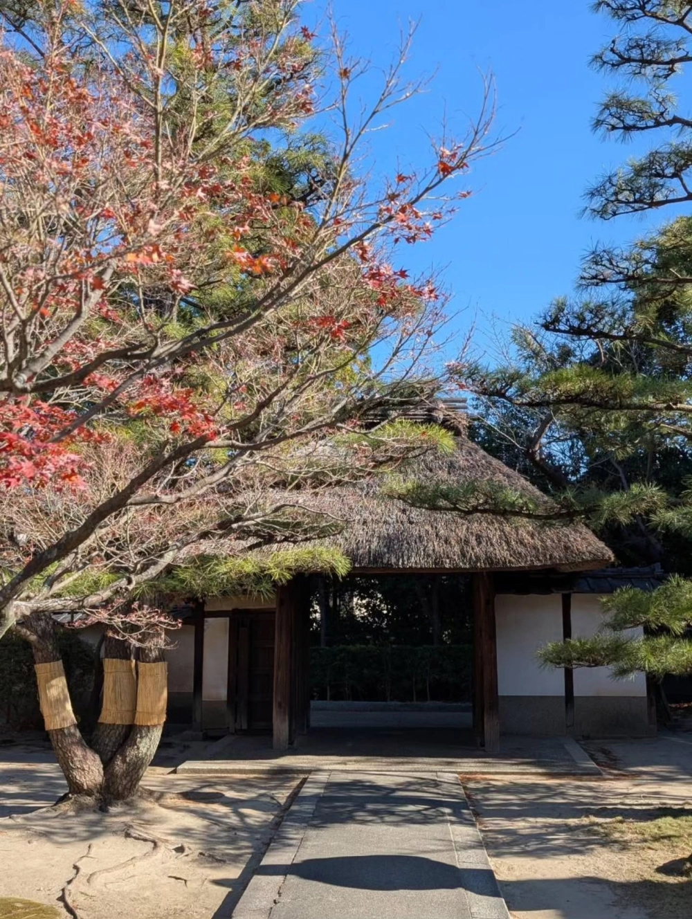 Trang trí đèn đá sân vườn nhật bản giữa thảm cỏ xanh