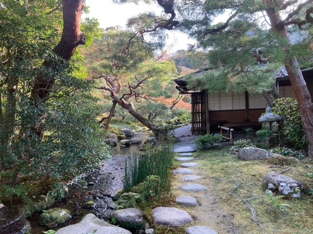 Hàng rào tre sân vườn nhật ngăn cách không gian riêng tư