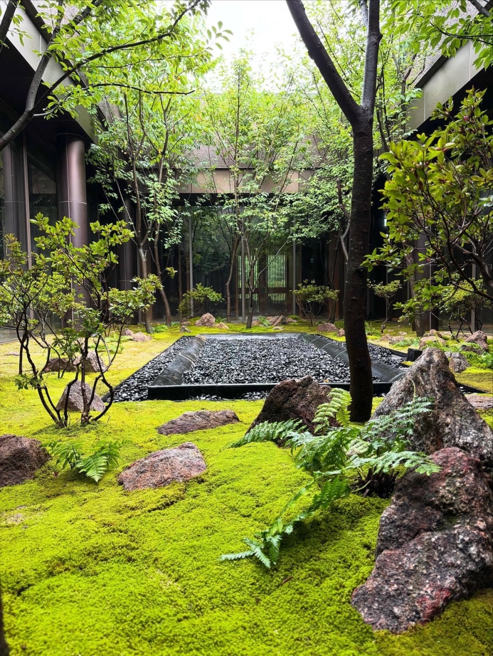 Bộ sưu tập ý tưởng cho sân vườn nhỏ độc đáo