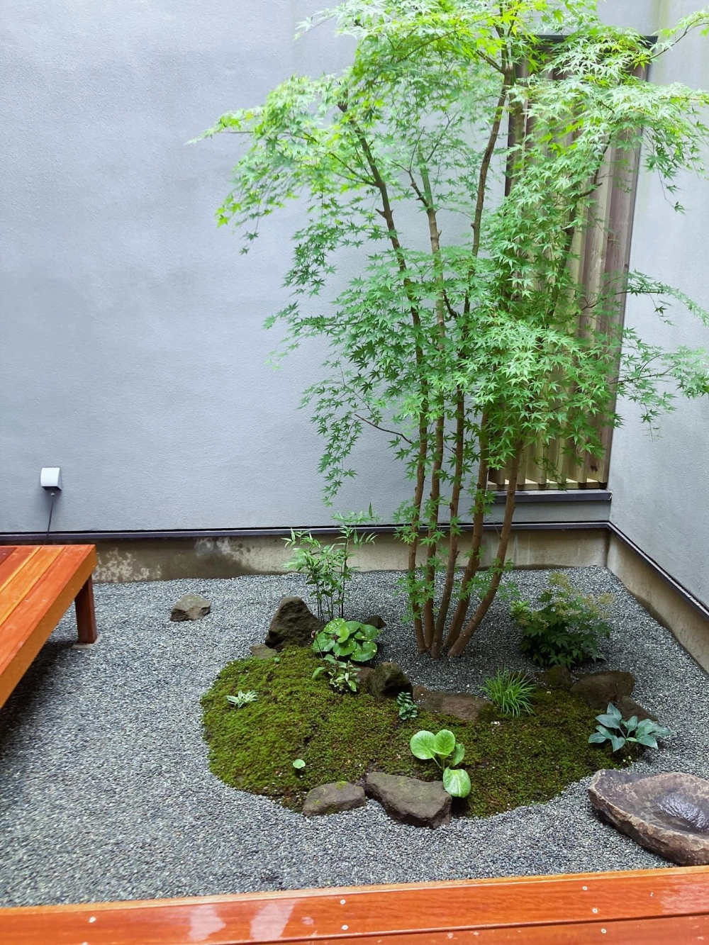 Mẫu sân vườn nhỏ đẹp chi phí thấp cho gia đình trẻ