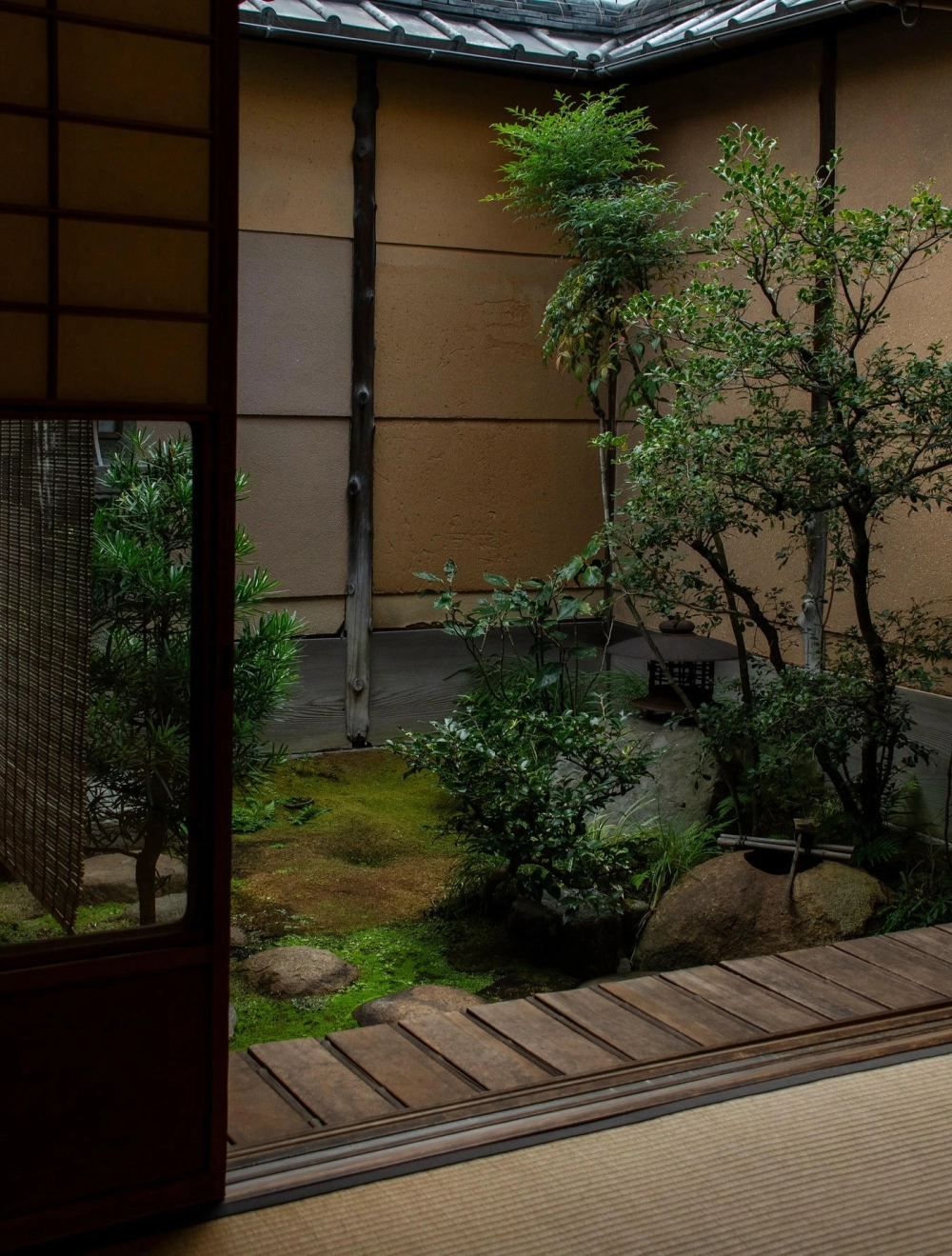 Lựa chọn cây cảnh cho sân vườn nhỏ dễ chăm sóc