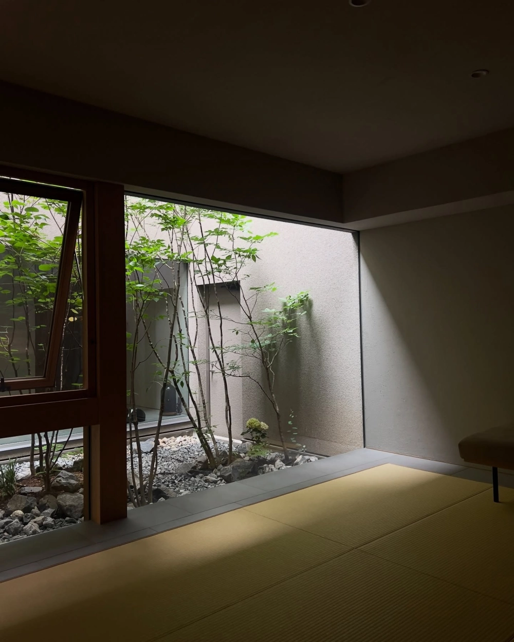 Không gian sân vườn nhỏ sau nhà ống đầy ánh sáng