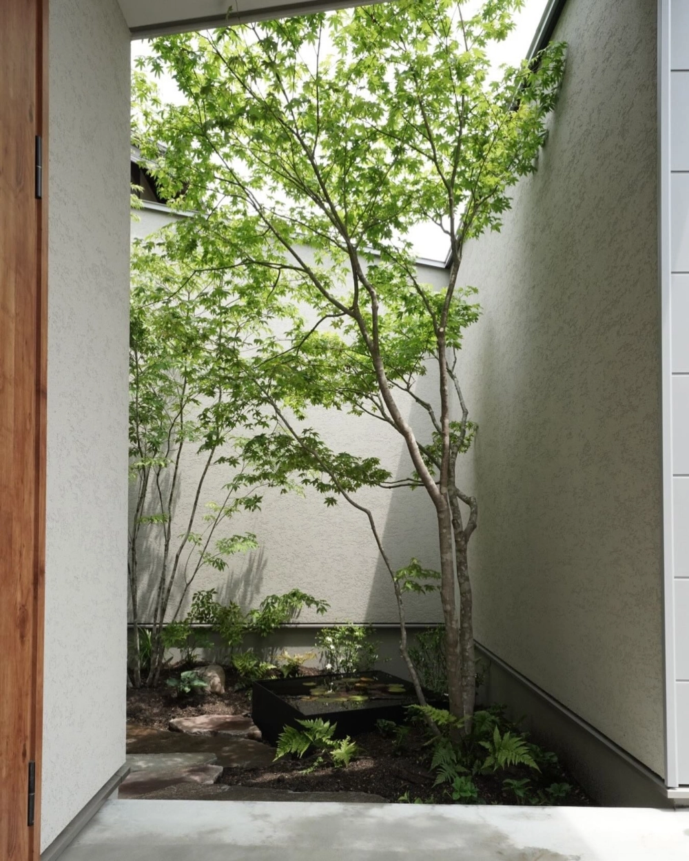 Tiểu cảnh sân vườn nhỏ mini kết hợp cây mọng nước