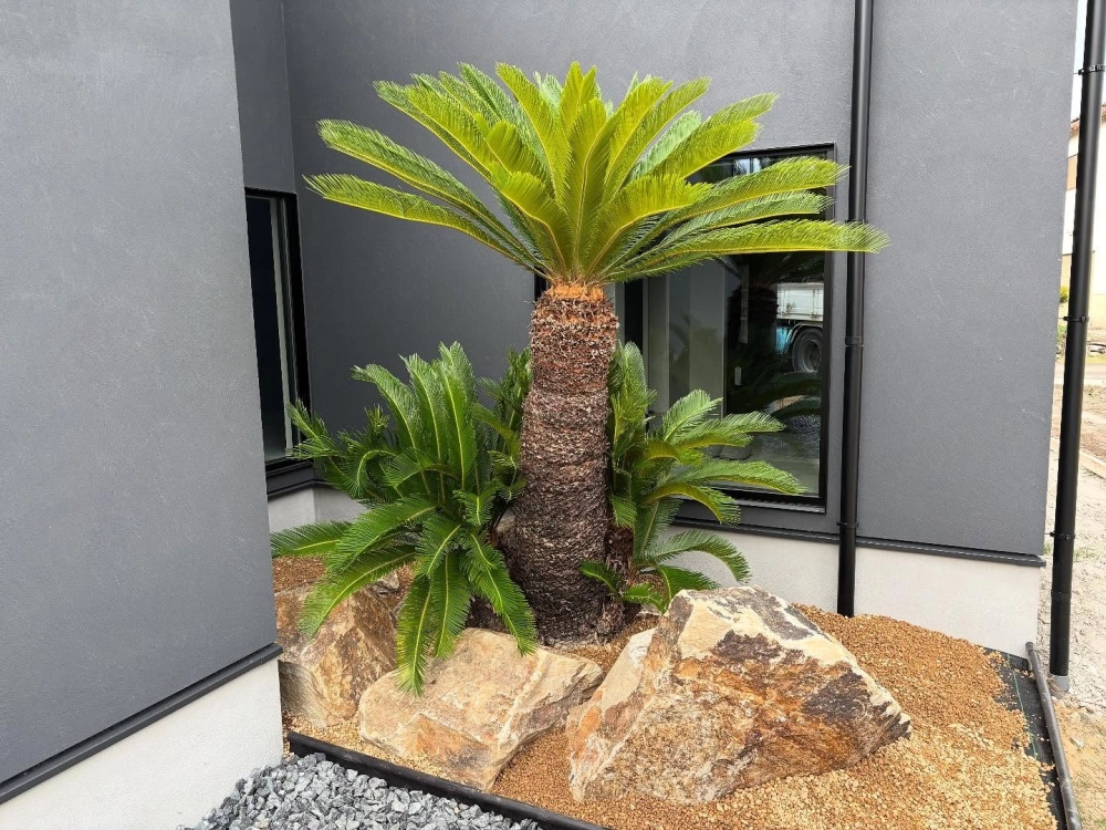 Tiểu cảnh sân vườn nhỏ mini kết hợp cây mọng nước