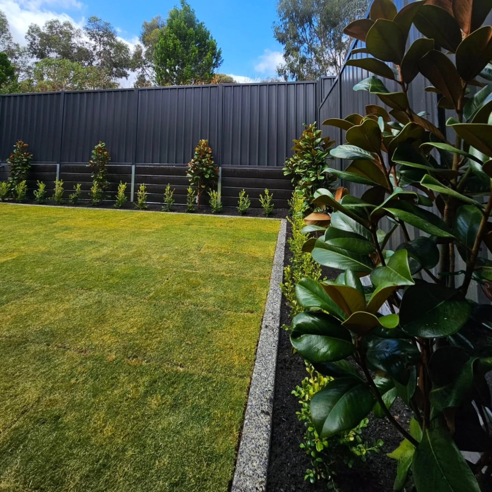 Mẫu thiết kế sân vườn phong cách Châu Âu với không gian thư giãn