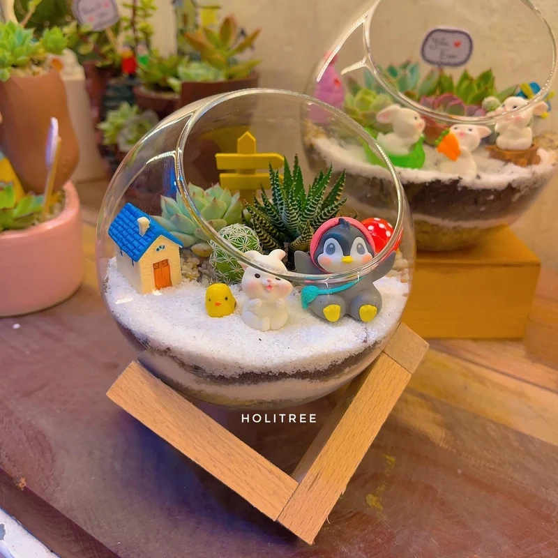 Chiêm ngưỡng ảnh terrarium sen đá sống động tuyệt đẹp