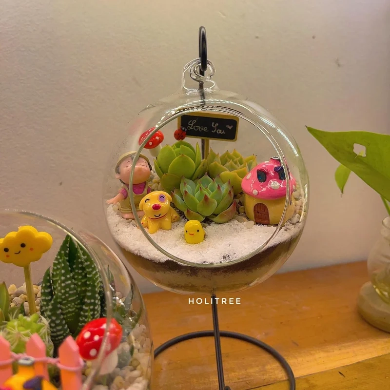 Biến không gian sống với terrarium trang trí