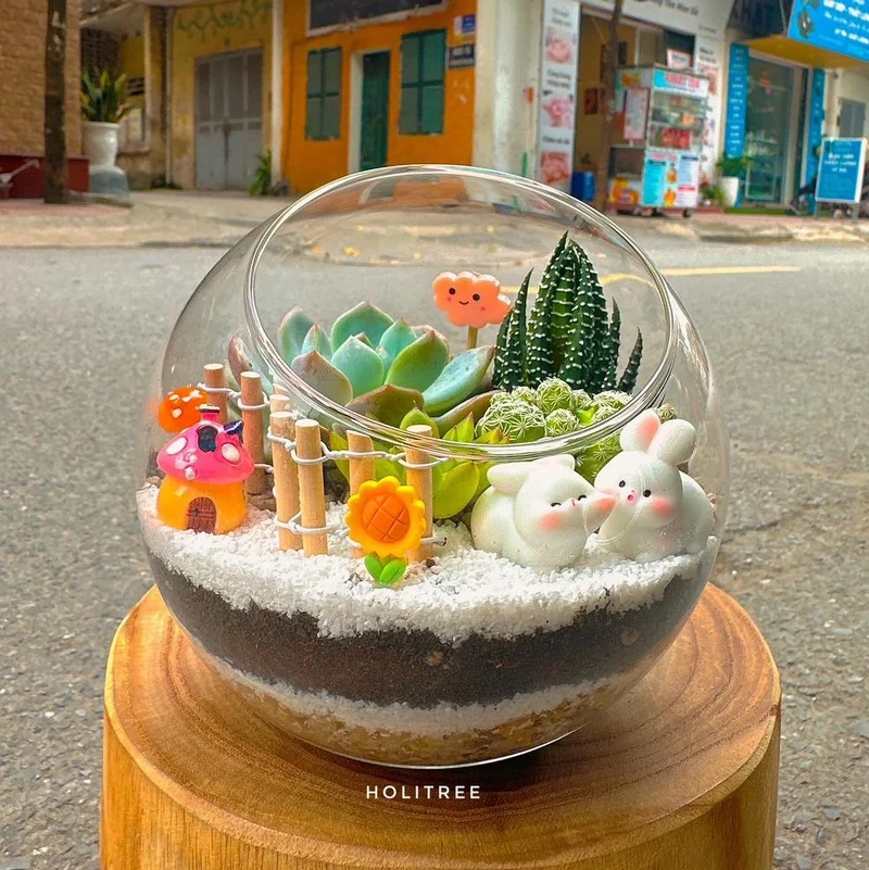 Nghệ thuật thiên nhiên từ terrarium cảnh