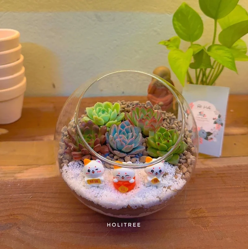 Sáng tạo nghệ thuật với terrarium nghệ thuật
