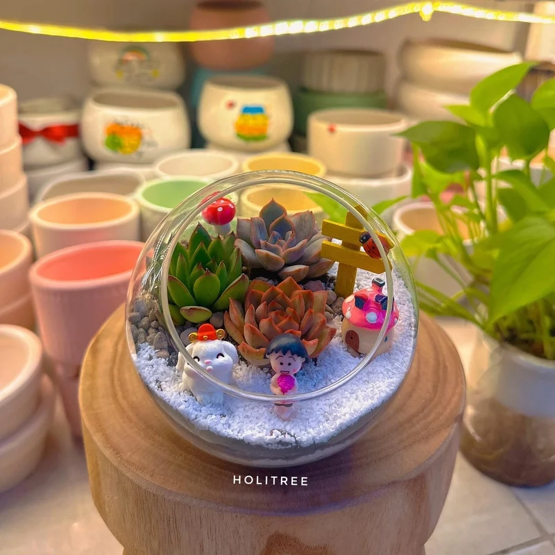 Mang may mắn vào nhà nhờ terrarium phong thủy