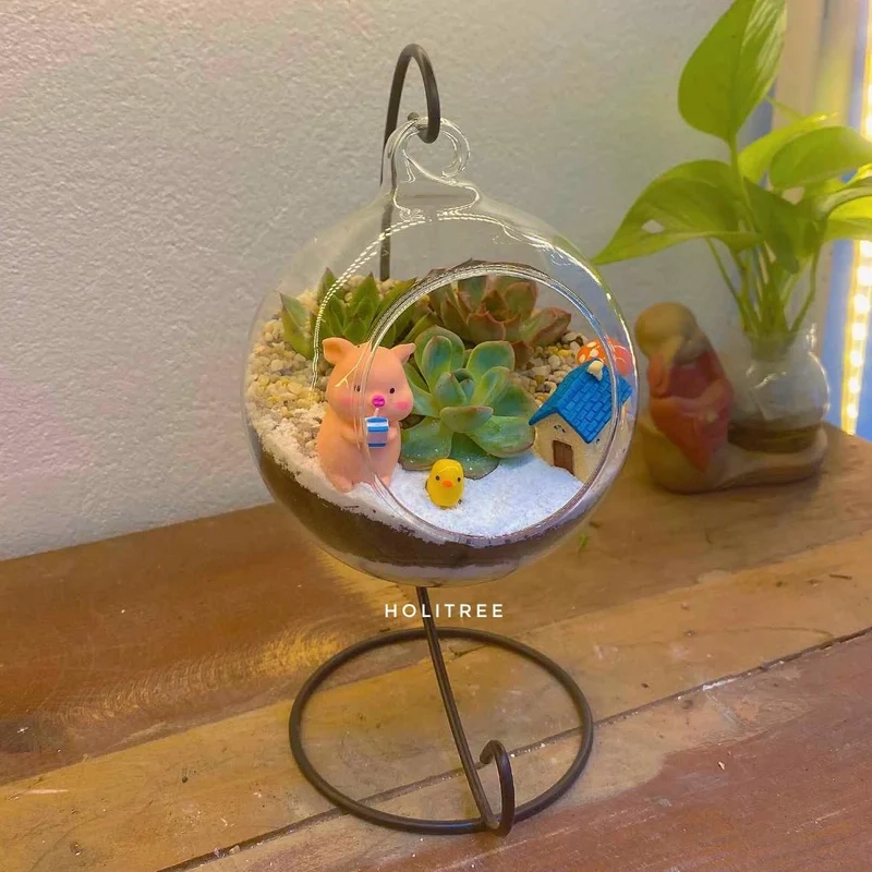 Khám phá vẻ đẹp Đà Lạt với terrarium đà lạt