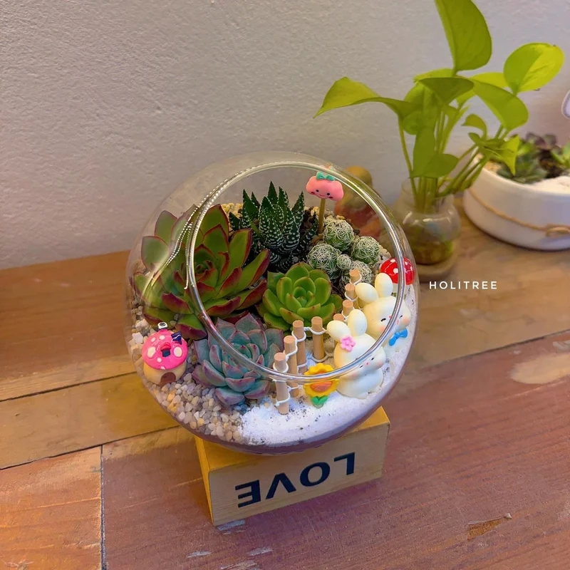 Thỏa sức sáng tạo với terrarium sáng tạo