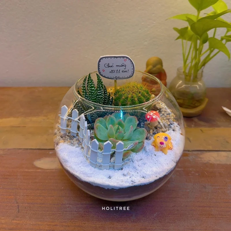 Góc mini xinh xắn nhờ terrarium mini đẹp