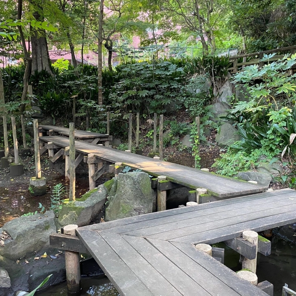 Thác nước sân vườn kết hợp hòn non bộ và cây cảnh