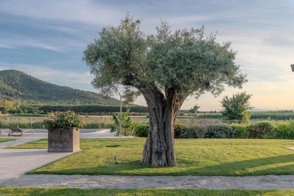 Dịch vụ sửa chữa cải tạo sân vườn cũ thành không gian sống mới