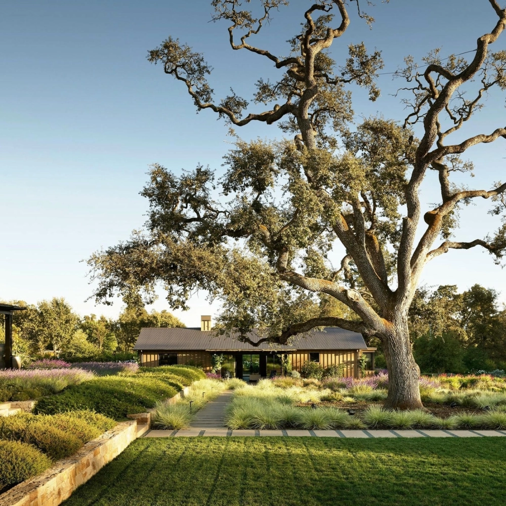 Thiết kế cảnh quan sân vườn biệt thự có thác nước