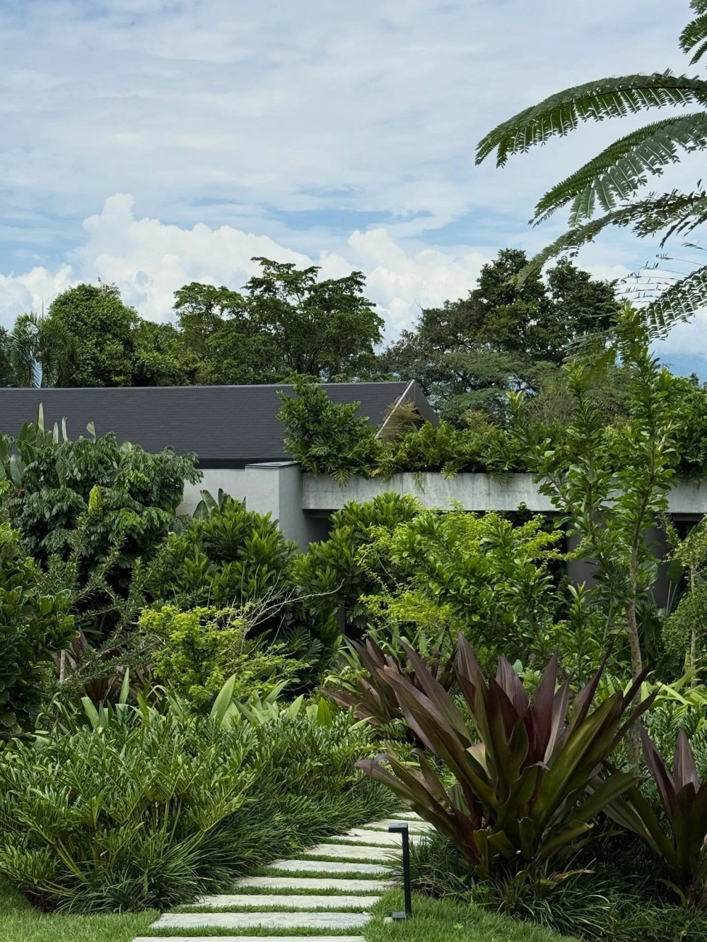 Những mẫu thiết kế lối đi sân vườn độc đáo bằng đá tự nhiên