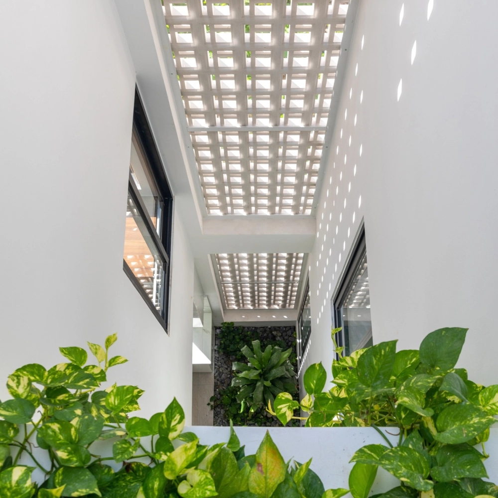 Thiết kế tiểu cảnh giếng trời trong nhà ống hiện đại