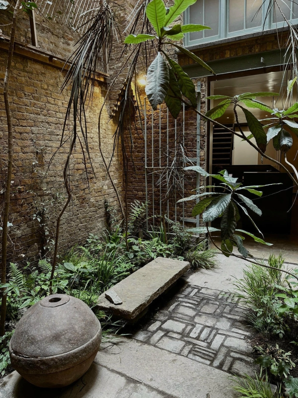 Giải pháp tiểu cảnh giếng trời diện tích nhỏ cho chung cư