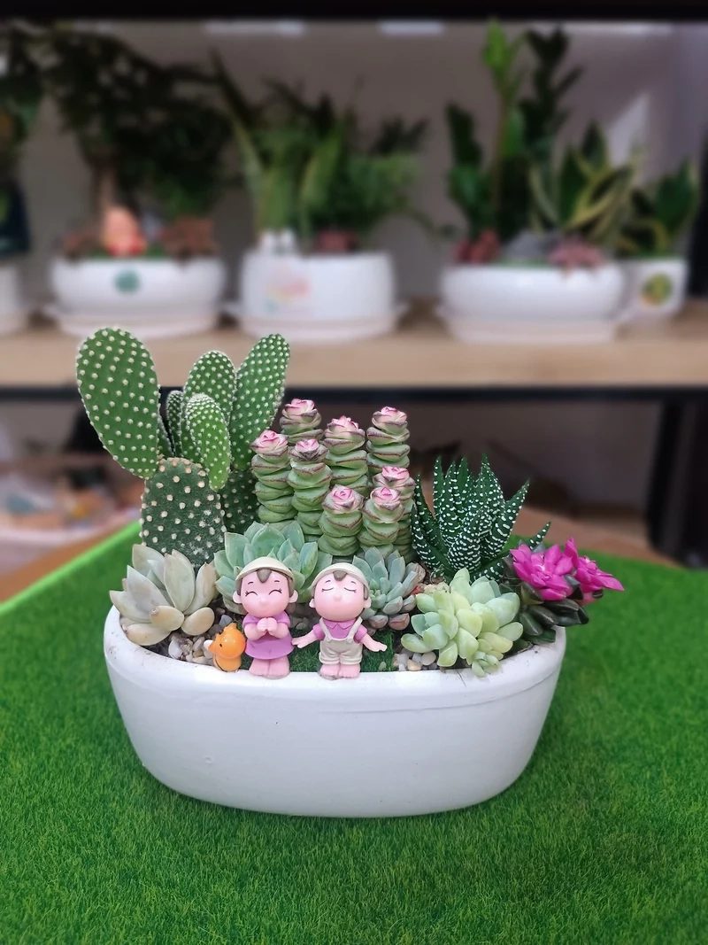 Tạo góc thư giãn với tiểu cảnh sen đá cảnh