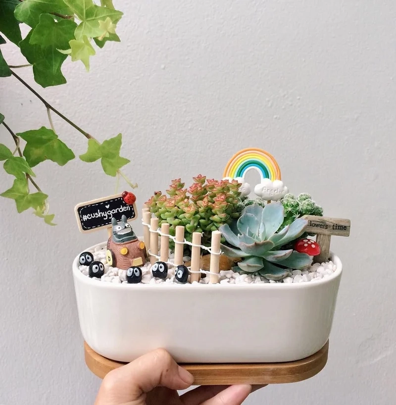 Trồng ngoài trời đẹp mắt nhờ tiểu cảnh sen đá ngoài trời