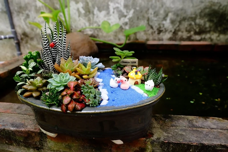 Góc làm việc xinh xắn nhờ tiểu cảnh sen đá để bàn làm việc