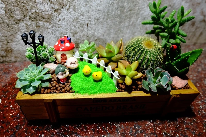 Decor nhà cực chất với tiểu cảnh sen đá decor