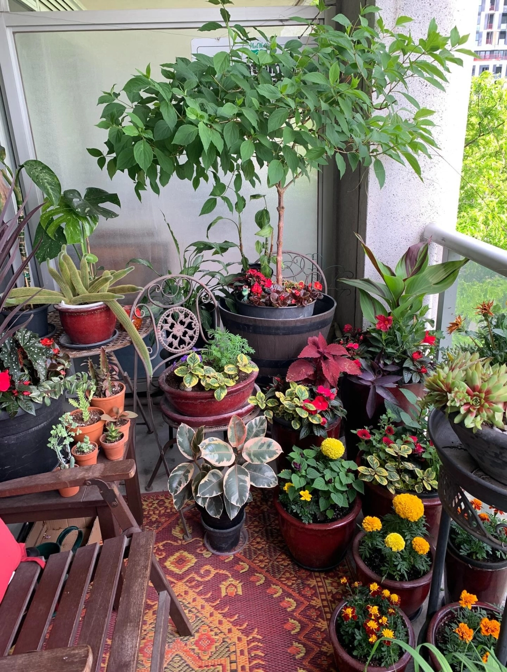 Mẫu trang trí ban công chung cư nhỏ xinh xắn với nhiều cây xanh