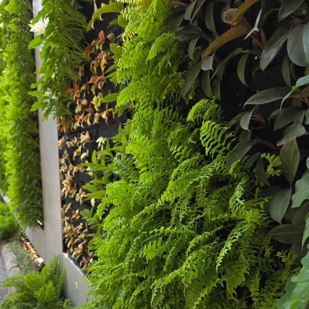 Trang trí tường cây xanh ban công cho căn hộ chung cư