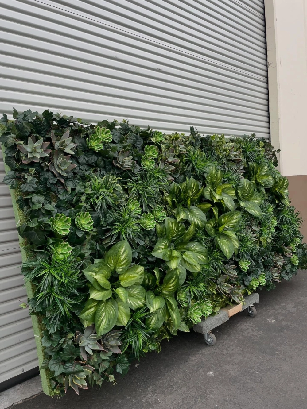 Thiết kế tường cây xanh ngoài trời chống nóng hiệu quả